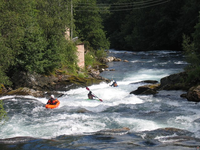 img00007.jpg