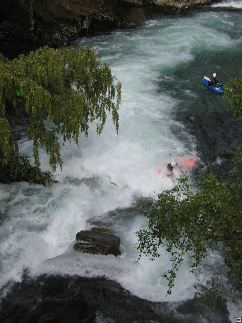 img00008.jpg