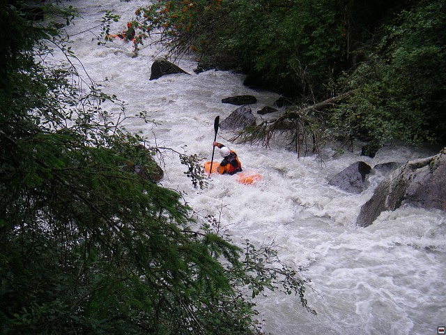 img00005.jpg