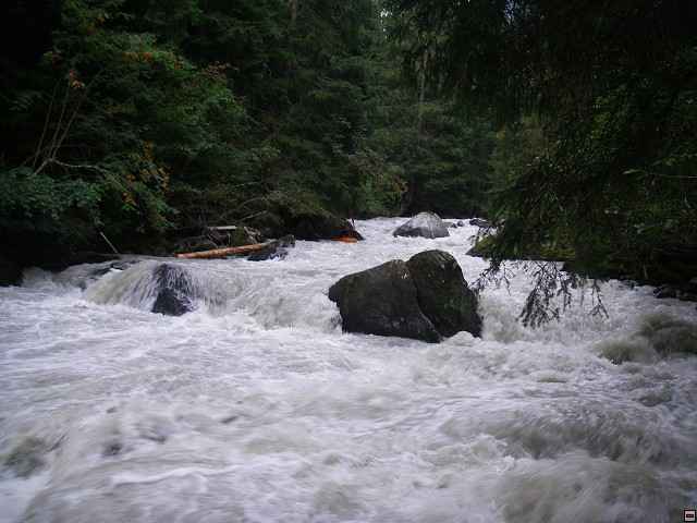 img00006.jpg