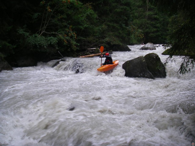 img00007.jpg