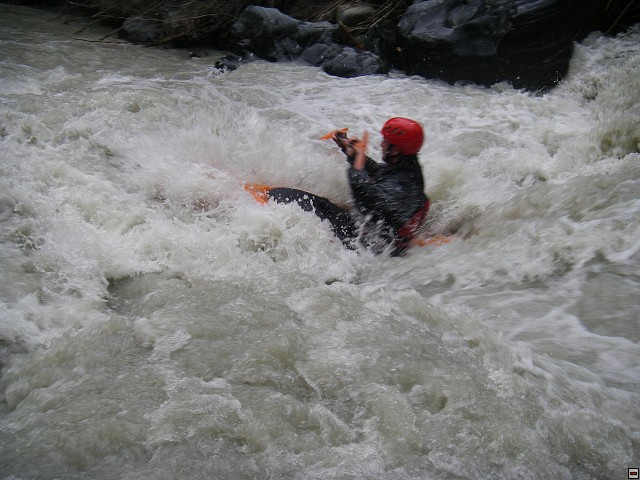 img00009.jpg