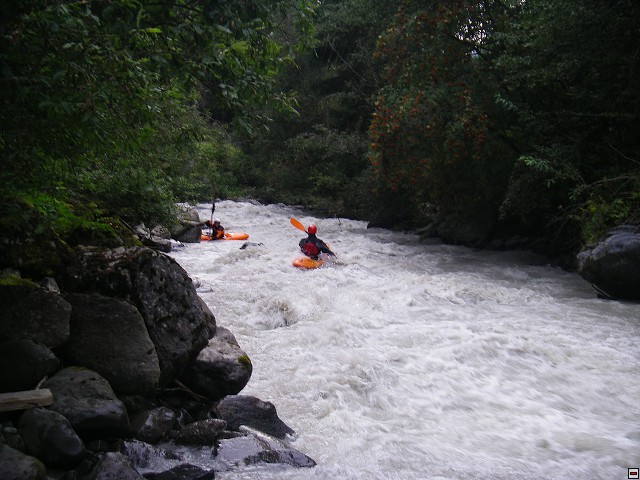 img00010.jpg