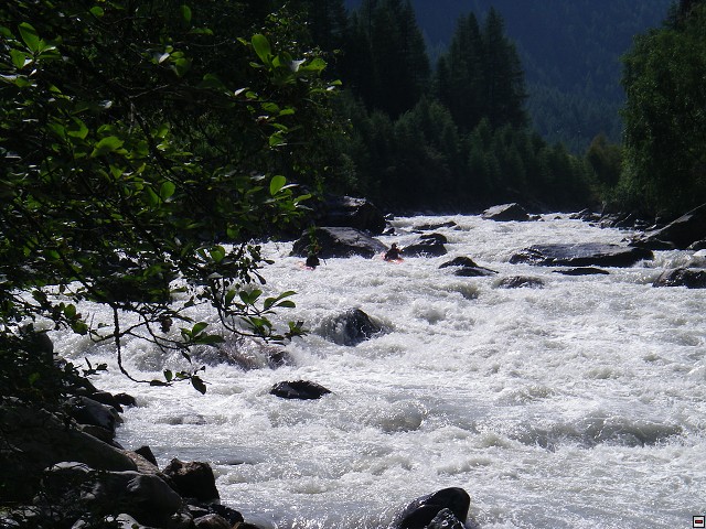 img00013.jpg