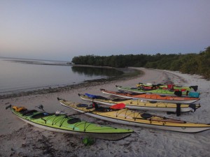 DSC00118