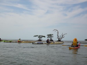 DSC00251