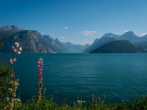 08-P1010099